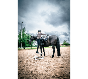 Aufstiegshilfe starr | © MUNK GmbH