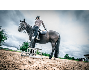 Aufstiegshilfe starr | © MUNK GmbH