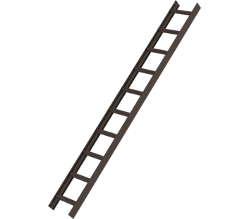 Roof ladder, brown, 10 rungs | © MUNK GmbH